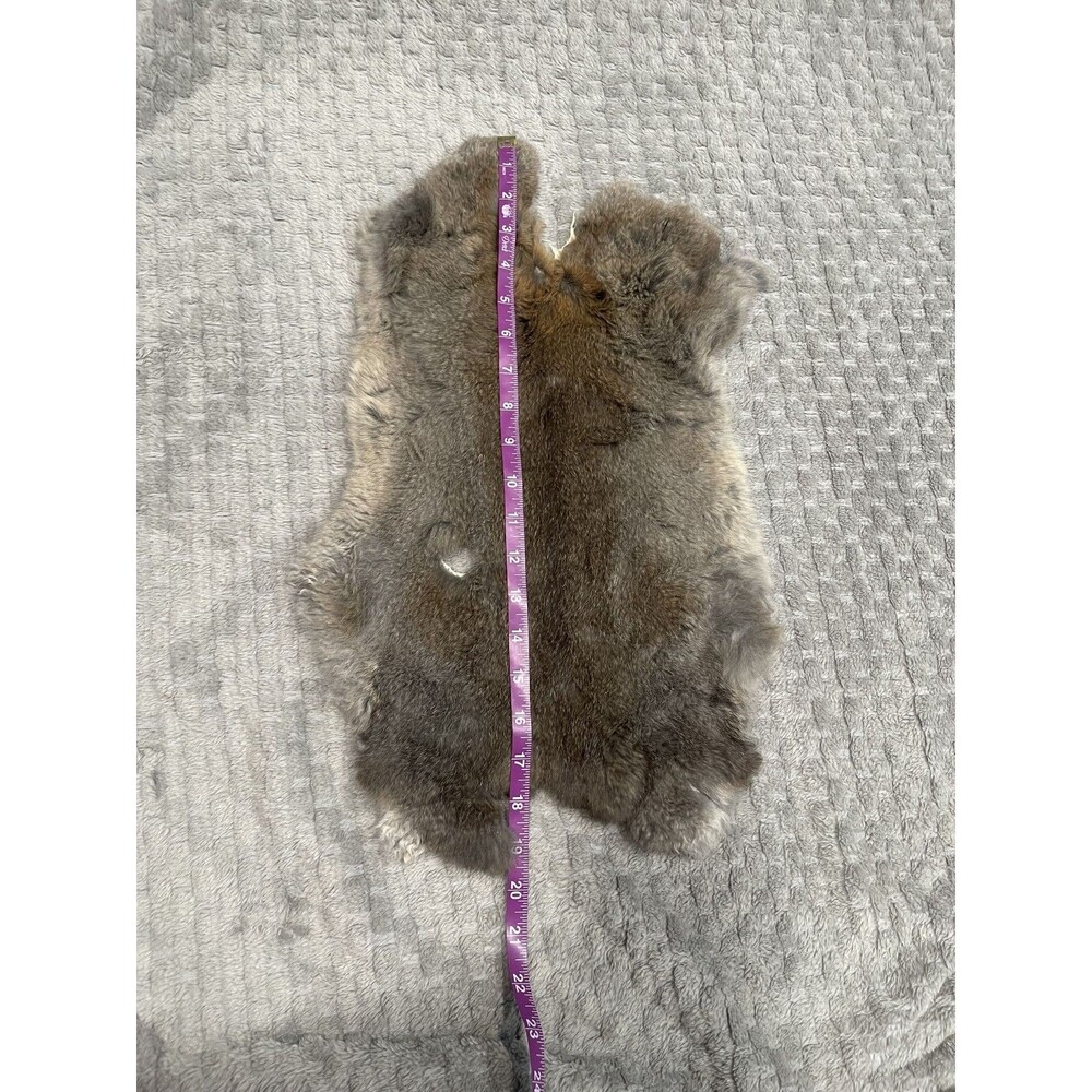 Genuine Rabbit Pelt Gray Brown Tanned Real Fur Hide Taxidermy Oddities Curios - Picture 2 of 5
